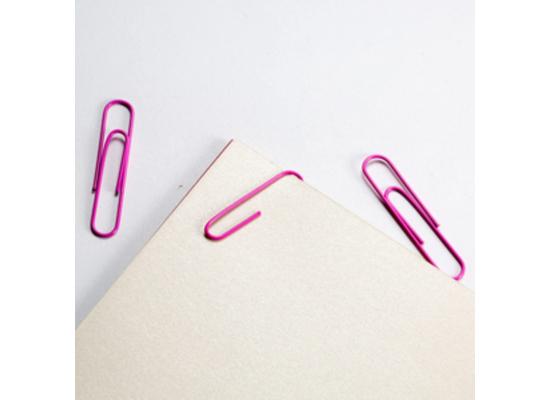 Colored Paper Clips 3cm
